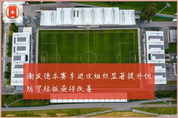 谢泼德本赛季进攻组织显著提升但防守短板亟待改善