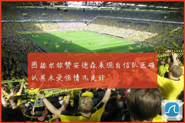 图赫尔称赞安德森表现自信队医确认其未受伤情况良好
