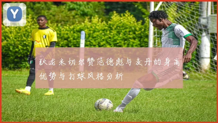 狄龙米切尔赞范德彪与麦丹的身高优势与打球风格分析