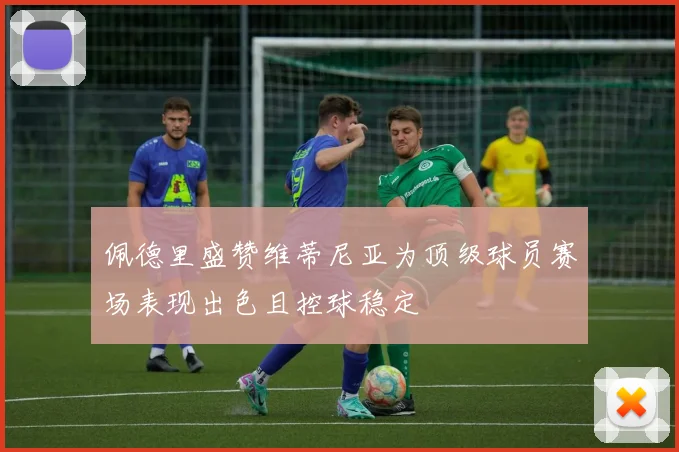 佩德里盛赞维蒂尼亚为顶级球员赛场表现出色且控球稳定